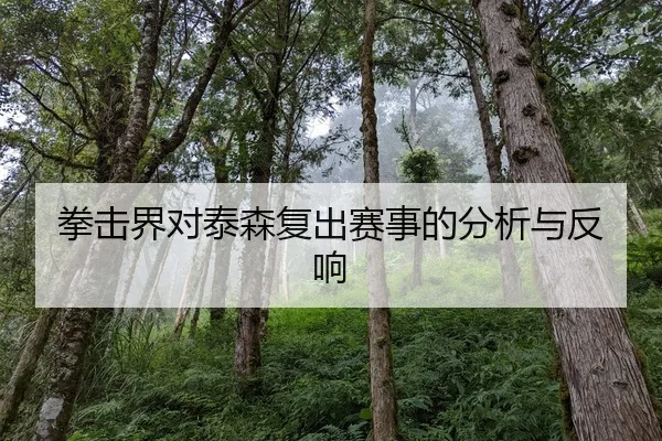 拳击界对泰森复出赛事的分析与反响