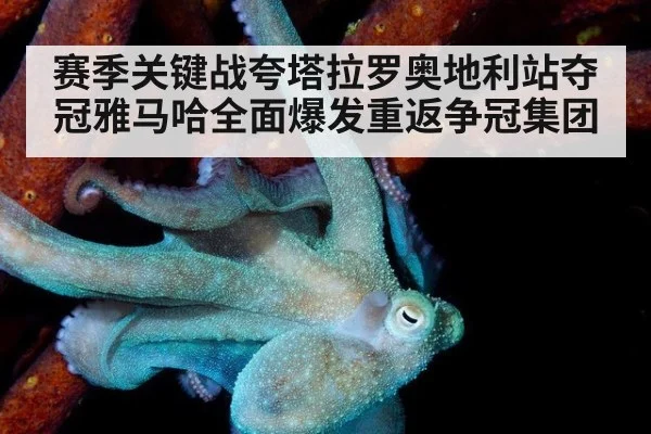 赛季关键战夸塔拉罗奥地利站夺冠雅马哈全面爆发重返争冠集团