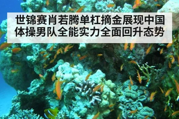 世锦赛肖若腾单杠摘金展现中国体操男队全能实力全面回升态势